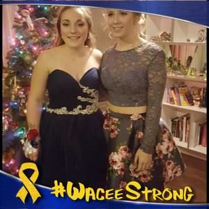 Meet your Posher, Ginger